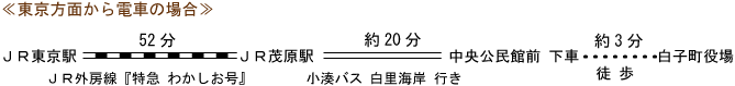 東京方面から電車の利用図