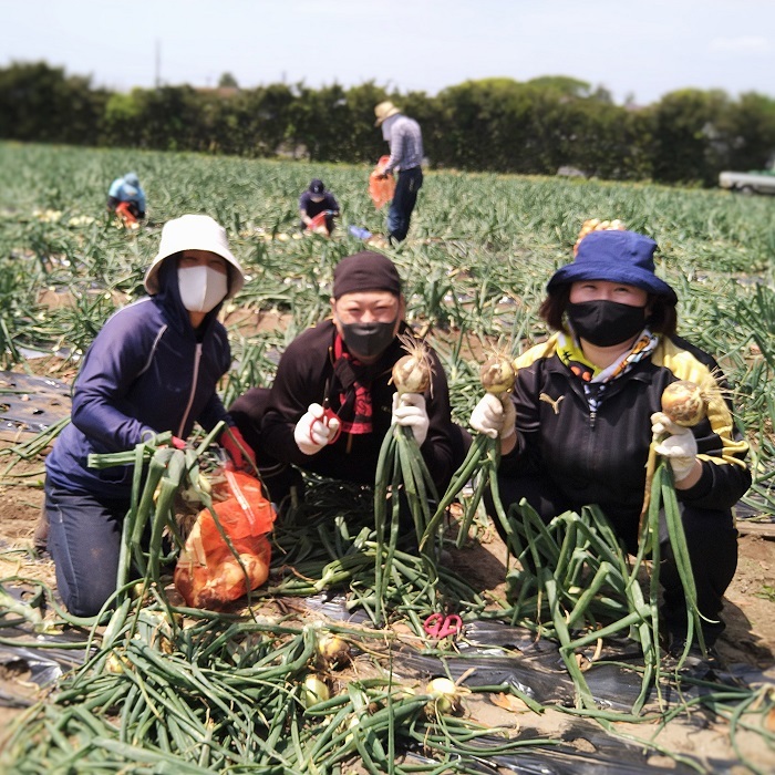 活力あるまちづくりのための事業