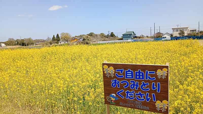 お摘みとりくださいの看板
