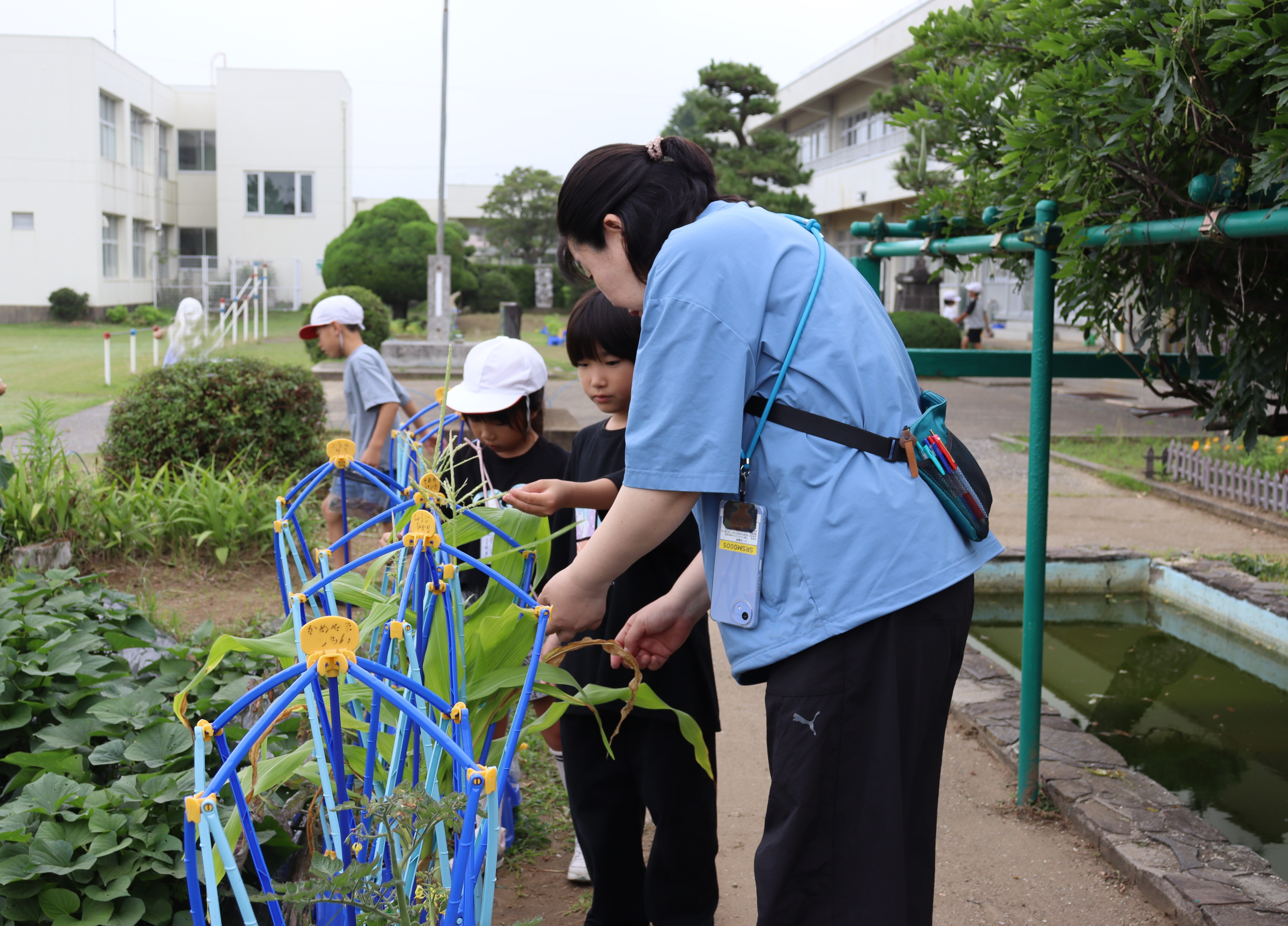 おいしい野菜ができるといいな～2年生～ | 白子町